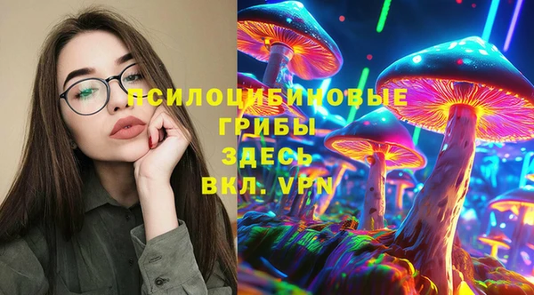 крисы Кропоткин