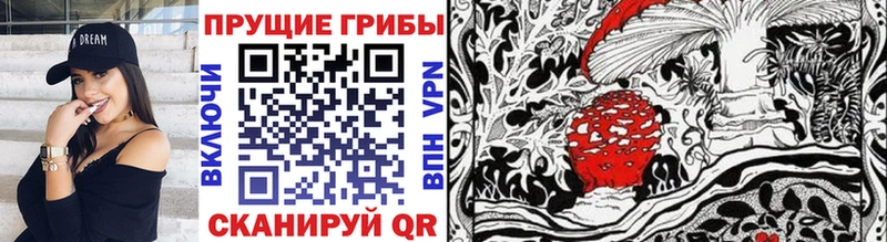 Галлюциногенные грибы Psilocybe купить закладку Кувандык