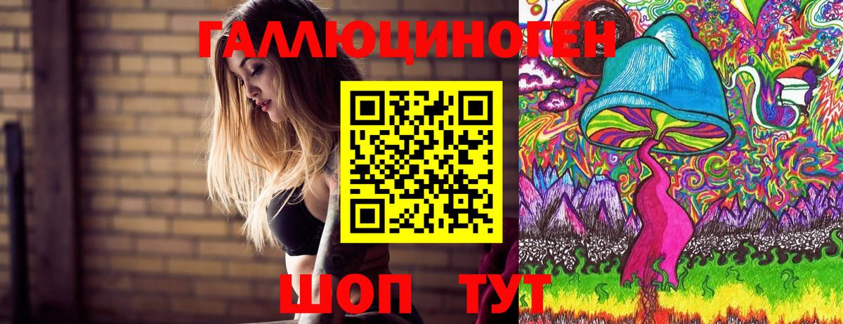 Кувандык  Псилоцибиновые грибы мицелий  как найти   Вход с VPN 